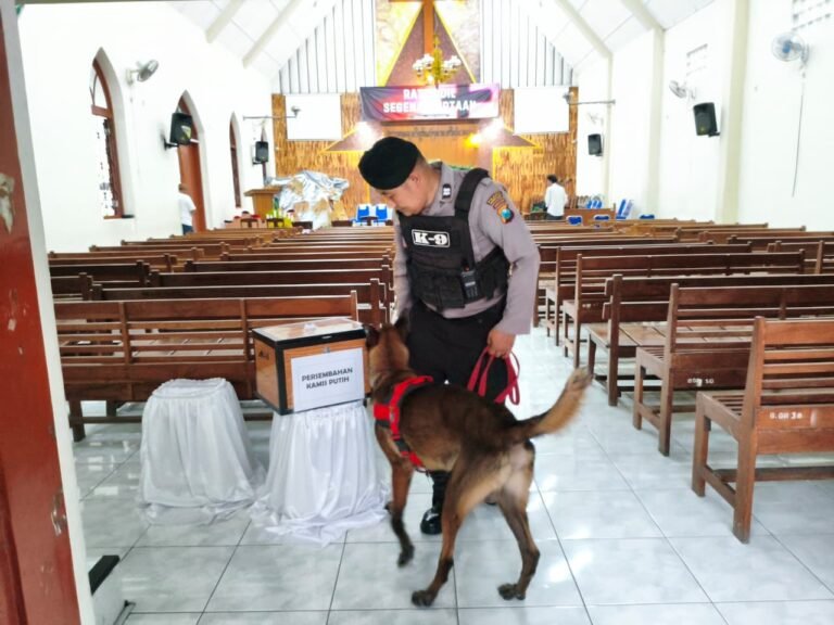 WhatsApp Image 2026-04-03 at 12.40.14 (1)